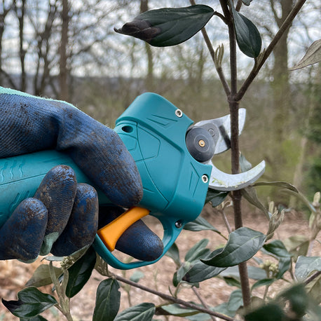 prunz™ 14,4V Akku-Gartenschere
