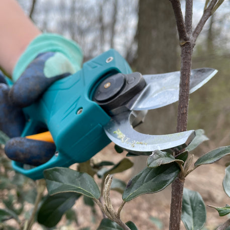 prunz™ 14,4V Akku-Gartenschere